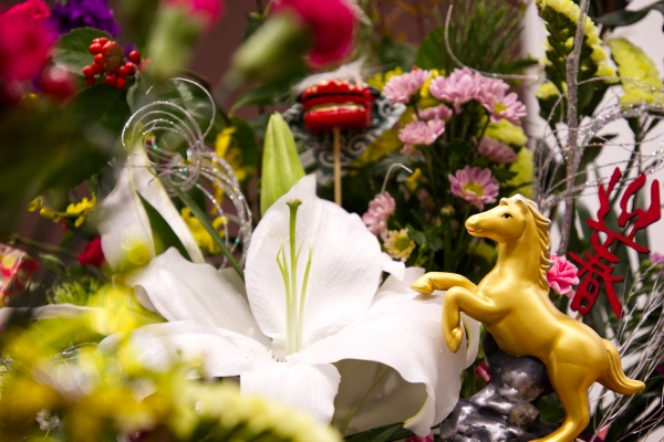 花の雨馬の瞳の中に降る